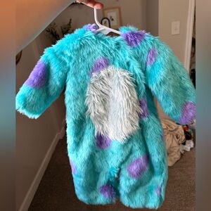 Pottery Barn Sully costume